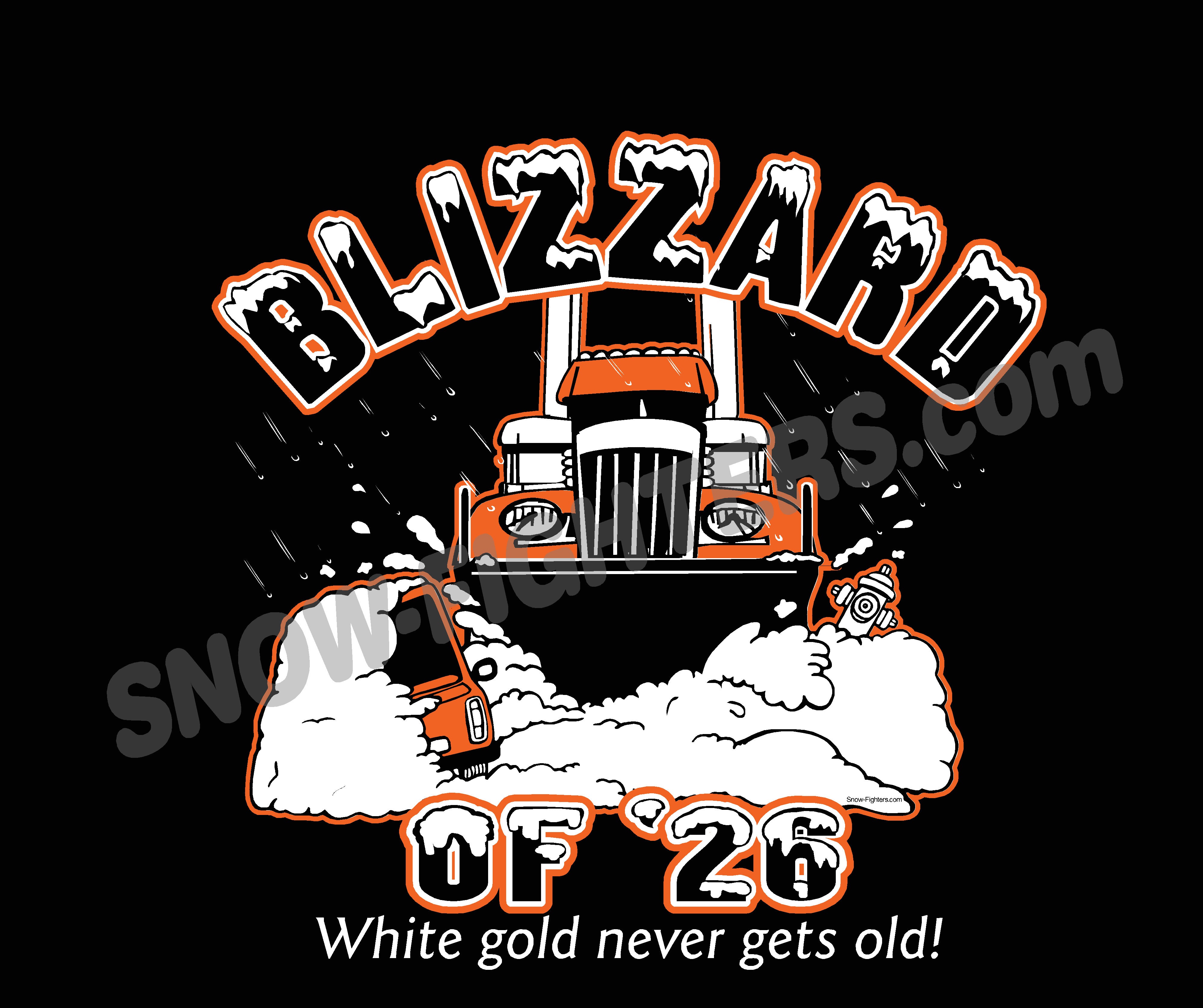 Blizzard of '26 Hoodie, Black
